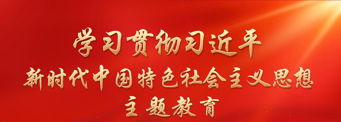 學(xué)習(xí)貫徹習(xí)近平新時代中國特色社會主義思想主題教育.png